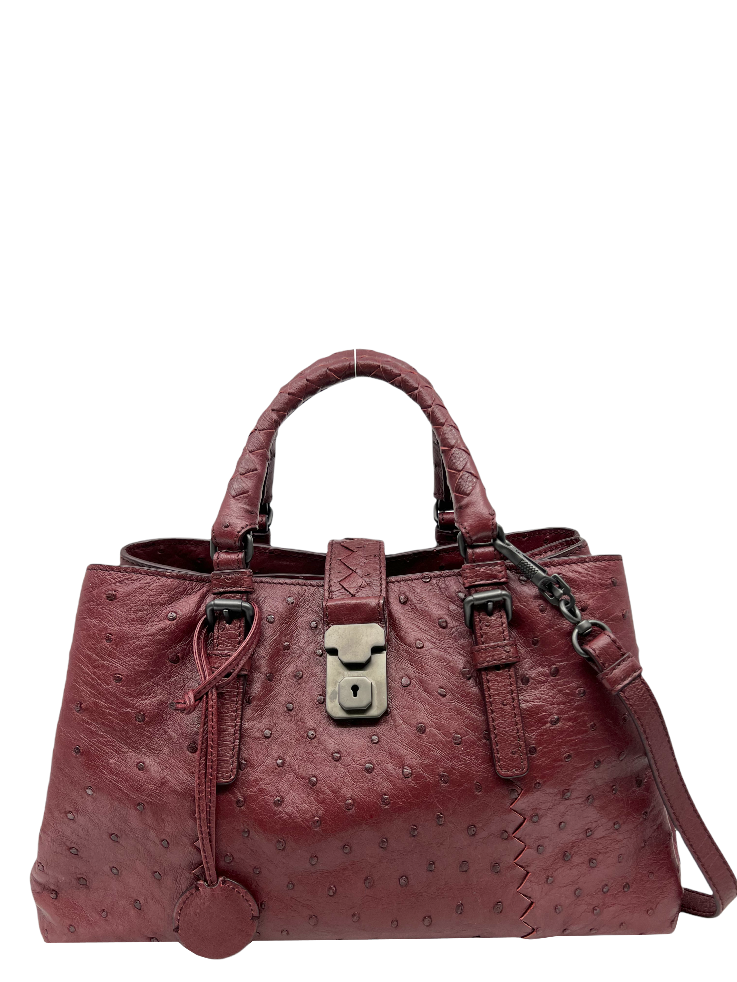 Bottega Veneta Ostrich Small Roma Bag NWT Consigned Designs
