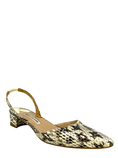 Manolo Blahnik Aspro Snakeskin Slingbacks Size 9.5-Consigned Designs