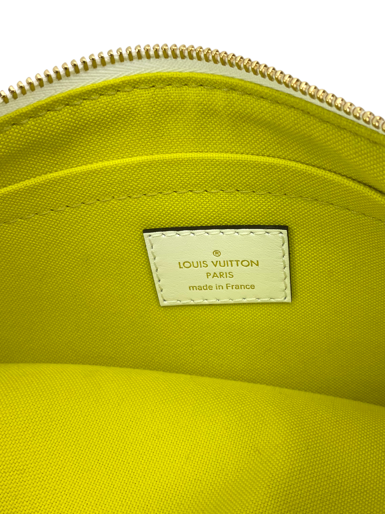 Louis Vuitton Jungle Giant Monogram Neverfull Pouch Pochette