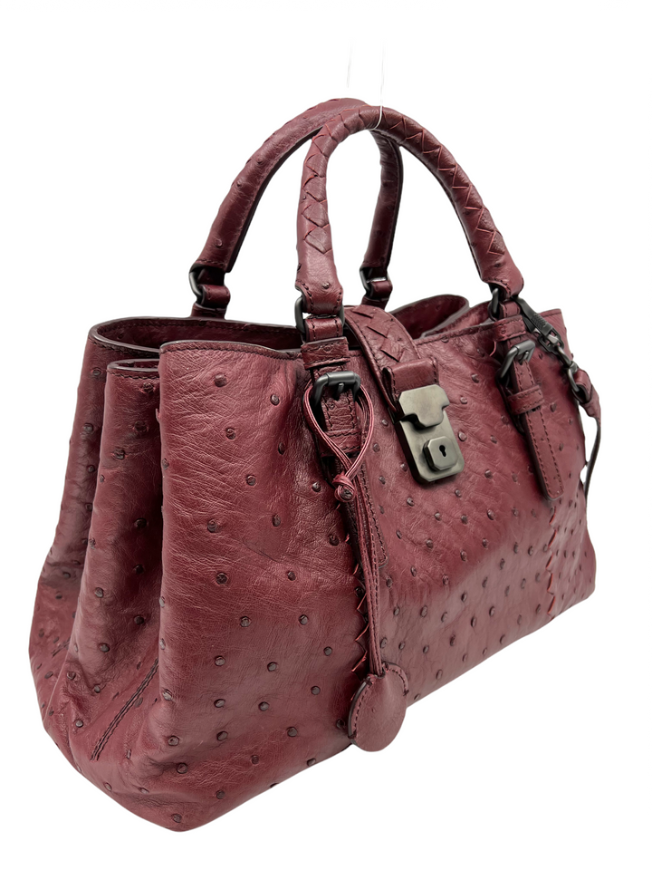 Bottega Veneta Ostrich Small Roma Bag NWT - Consigned Designs